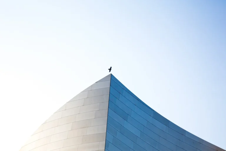 Jason Leung Y4f0lwnn8j0 Unsplash